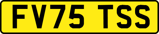 FV75TSS