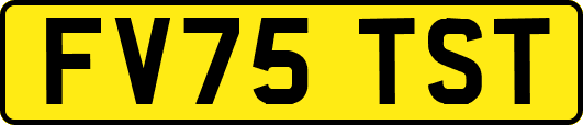 FV75TST