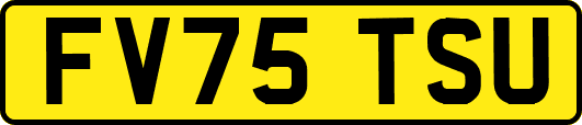 FV75TSU