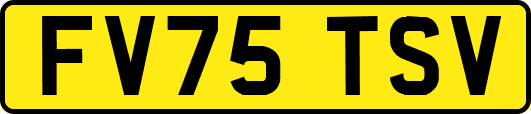 FV75TSV