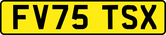 FV75TSX