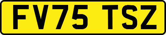 FV75TSZ