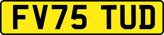 FV75TUD