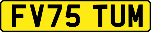 FV75TUM