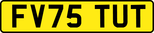 FV75TUT