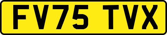 FV75TVX