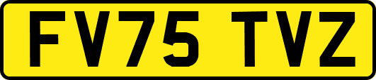 FV75TVZ