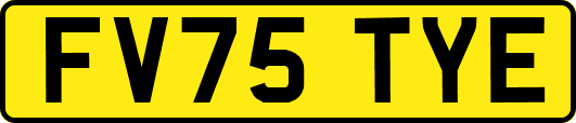 FV75TYE