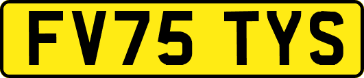 FV75TYS