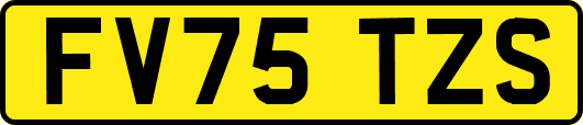 FV75TZS