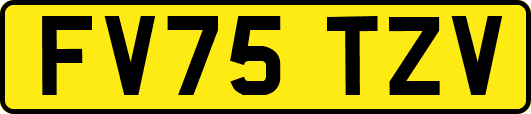 FV75TZV