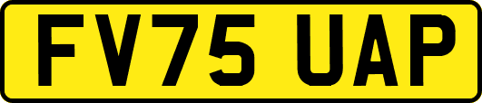 FV75UAP