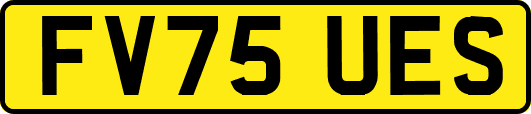FV75UES