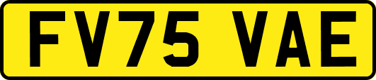 FV75VAE