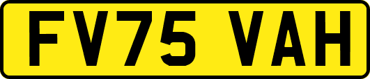FV75VAH