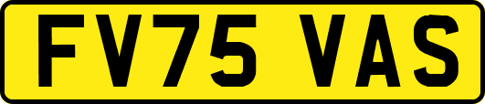 FV75VAS