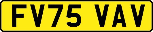 FV75VAV