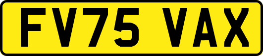 FV75VAX