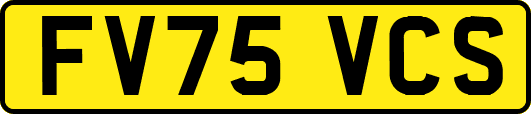 FV75VCS