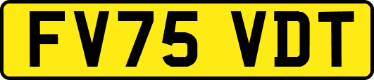 FV75VDT