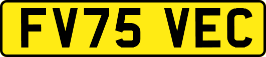 FV75VEC