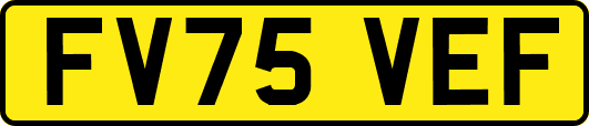 FV75VEF