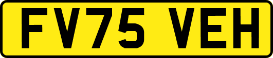 FV75VEH