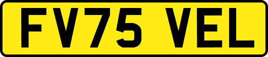 FV75VEL