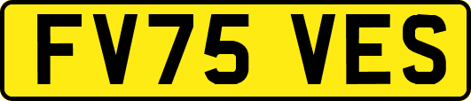 FV75VES