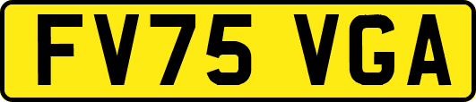 FV75VGA