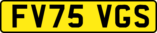 FV75VGS
