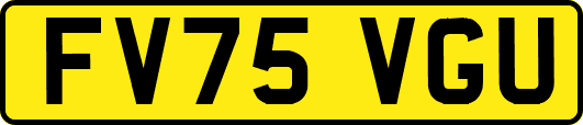 FV75VGU