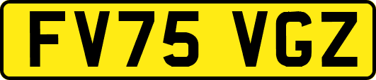 FV75VGZ