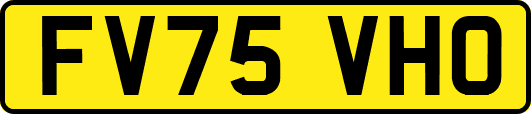 FV75VHO