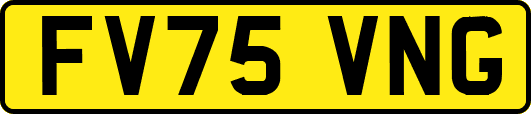 FV75VNG