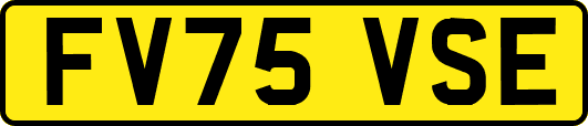 FV75VSE