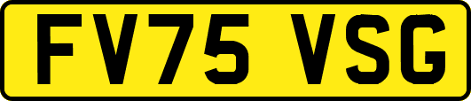 FV75VSG