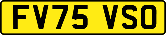 FV75VSO