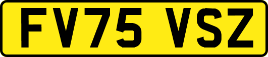 FV75VSZ
