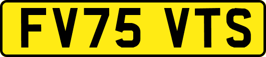 FV75VTS