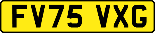 FV75VXG