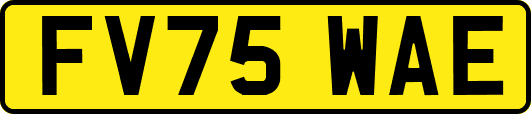 FV75WAE