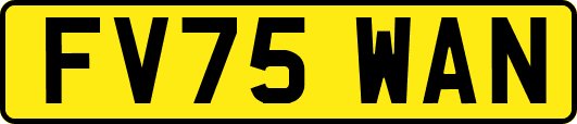 FV75WAN