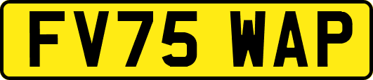 FV75WAP