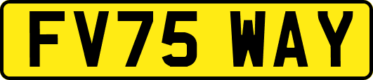 FV75WAY