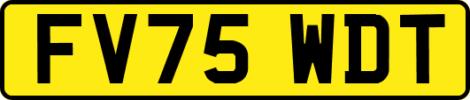 FV75WDT