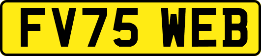 FV75WEB