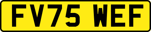 FV75WEF