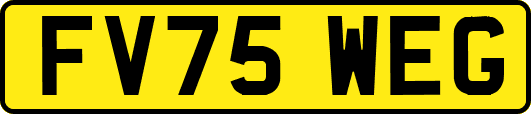 FV75WEG