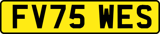 FV75WES